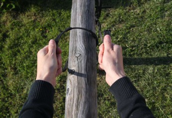 4 Tipps für ruhige Hände beim Reiten